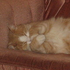 Avatar for Tiggereh