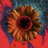 Avatar for CreepySunspot