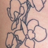 Avatar for utchiquita24