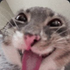 Avatar for Ed3rson