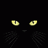Avatar for M-Katt