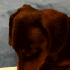 Avatar di Throwyn