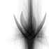 Avatar for MeHatesU