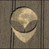 Avatar di robi2000