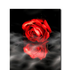 Avatar for Anthea_19
