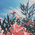 Avatar for blinqoxo