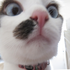 Avatar for had2bu