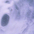 Avatar di F23F65FX