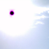 Avatar for de_figueiredo