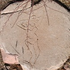 Avatar for abydos48