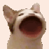 Avatar for Luxmar1