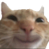 Avatar for cqlebh