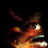 Avatar for moggio