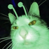 Avatar for UnearthlyCar