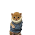 Avatar di sirsanwik