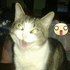 Avatar for kittygirlaz