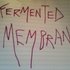 Avatar for Fermented Membrane