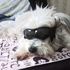 ScooterMcGavin9 için avatar