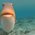 Avatar för fish_with_lips
