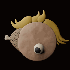 Avatar for ellentayna
