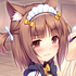 Avatar for not_funny_1738