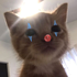 Avatar for aruverie