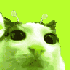 Avatar for itsjustrayray