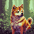 Avatar for benfayzen