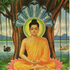 Avatar for Sotapanna