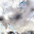 Avatar for O10430