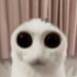 Avatar for Kiki_steel