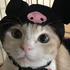 Avatar för breadmeow