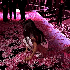 Avatar for xcasq