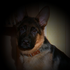Avatar for Lina_1488