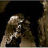 Avatar for sasha316