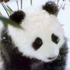 Avatar for starmate