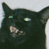 Avatar de catastrophile
