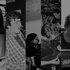 Avatar für Fallow