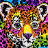 Avatar for discoball25