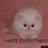 Avatar für GayBunnyJoey