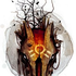 Avatar for JerysBolcyn