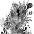 Avatar for grooglebog