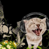 Avatar for ch1o3_