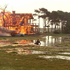 Avatar for s_m_f_
