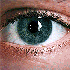 Avatar for PPatrickB