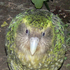Avatar for Mateja2