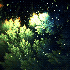 Avatar for Qualandral