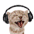 Avatar for rexwow