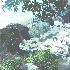 Avatar for DM09