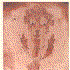 Avatar for satyavakya